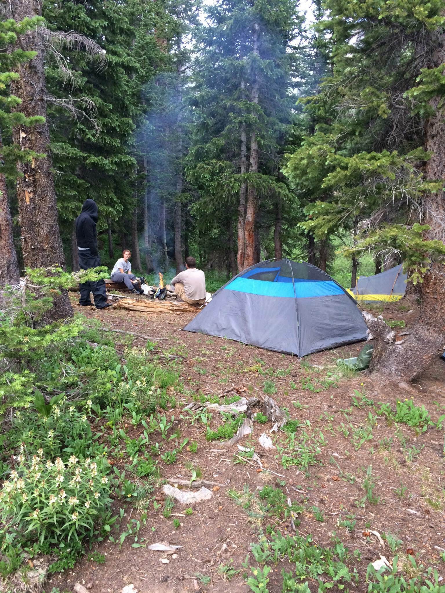 Madison G.'s photo of a dispersed camping area at Blue Lake Dispersed Camping- CLOSED near Ouray, CO