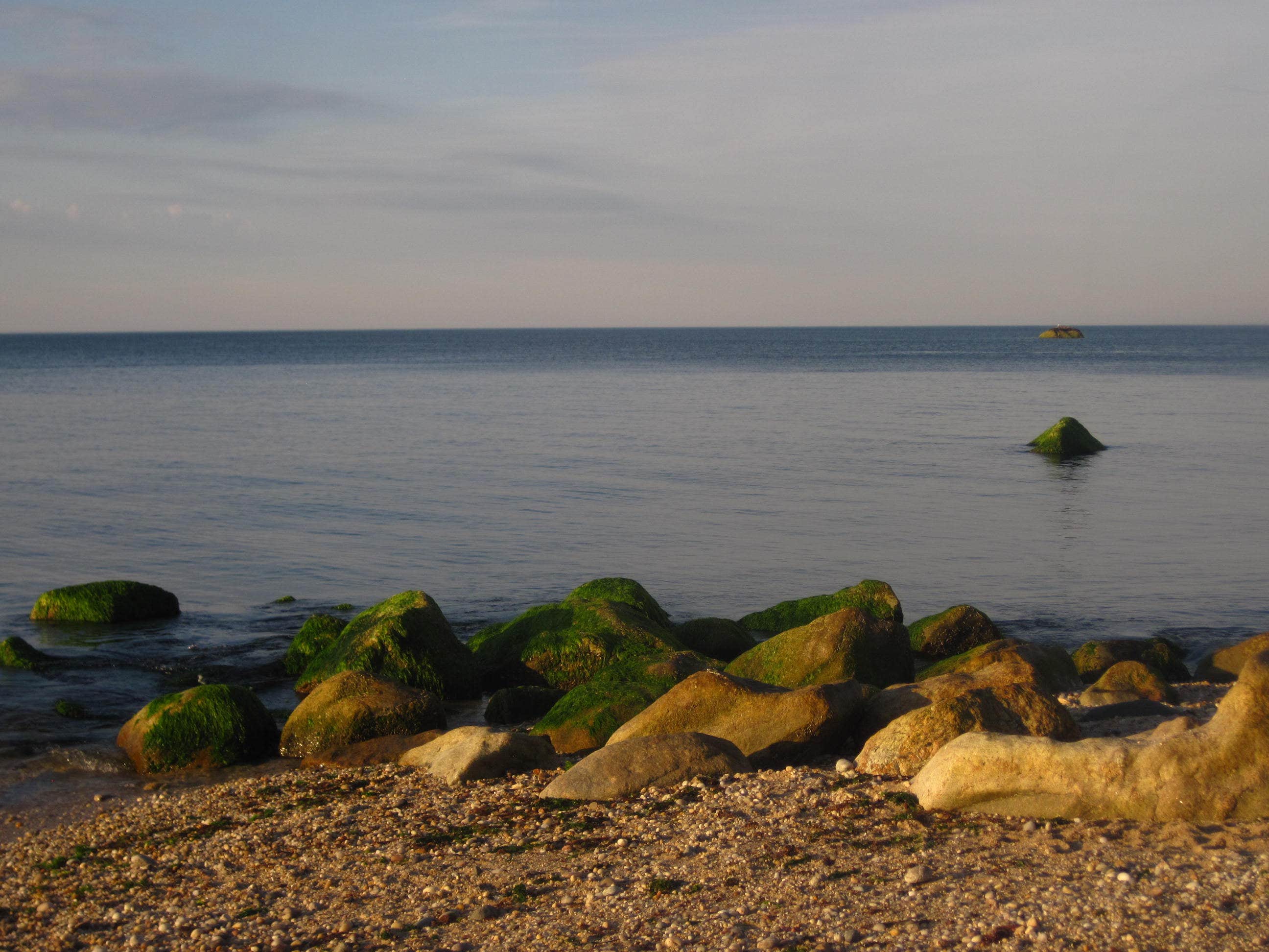 Camper-submitted photo at Wildwood State Park Campground near Greenwich, CT