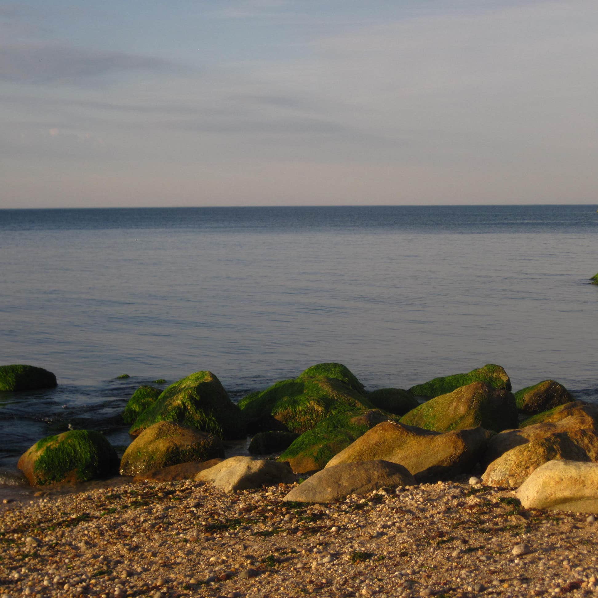 Wildwood State Park Camping | The Dyrt