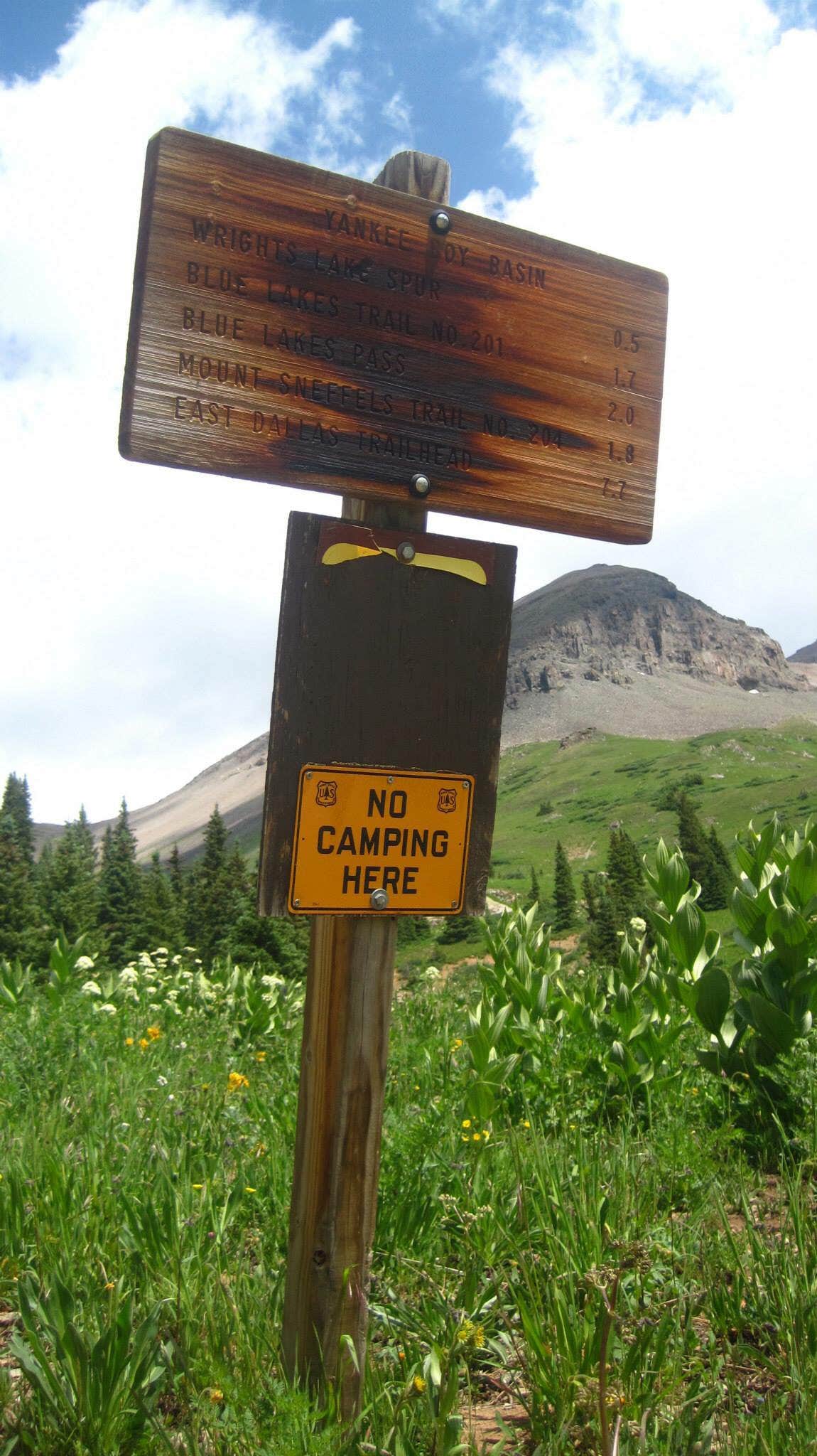 Camper submitted image from Blue Lake Dispersed Camping- CLOSED - 4