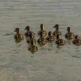 Review photo of Lake Leelanau RV Park by Shari  G., June 30, 2017