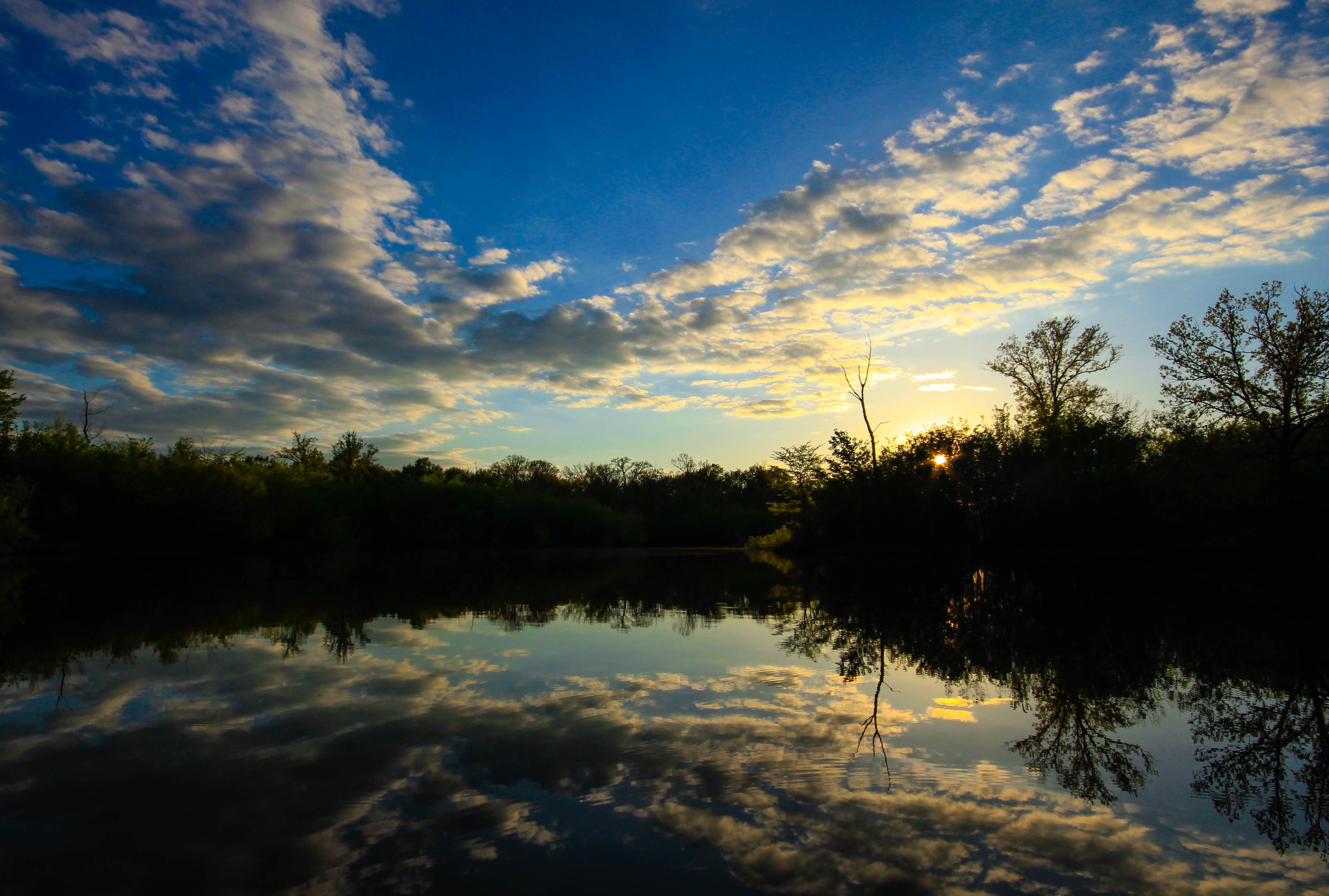 Camper submitted image from Turkey Bayou Campground - 1