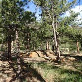 Review photo of Upper and Lower Ansel Watrous Campgrounds by Tonya Y., June 30, 2017