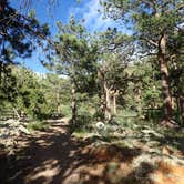 Review photo of Upper and Lower Ansel Watrous Campgrounds by Tonya Y., June 30, 2017