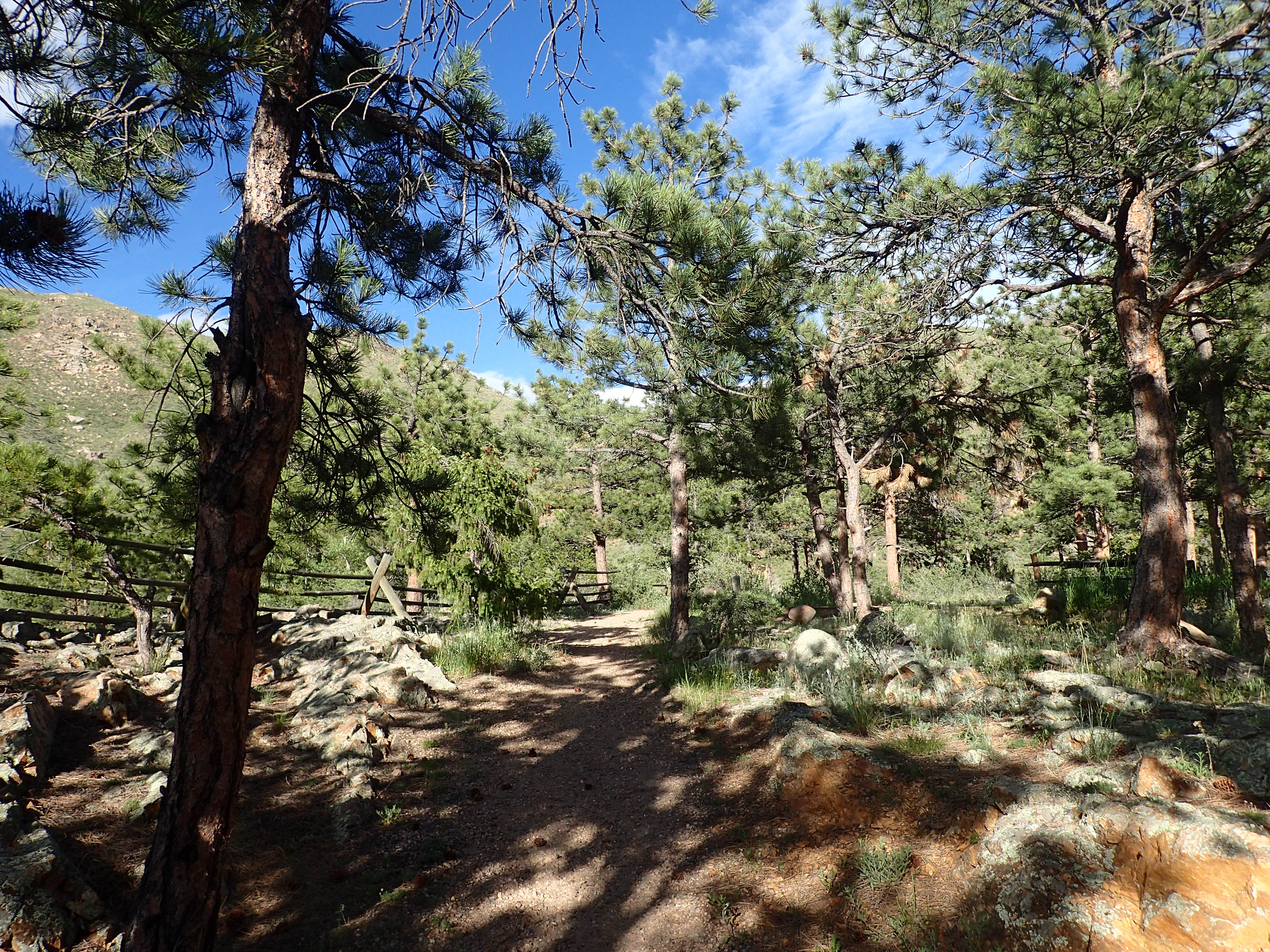 Camper submitted image from Upper and Lower Ansel Watrous Campgrounds - 3