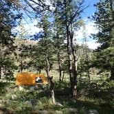 Review photo of Upper and Lower Ansel Watrous Campgrounds by Tonya Y., June 30, 2017