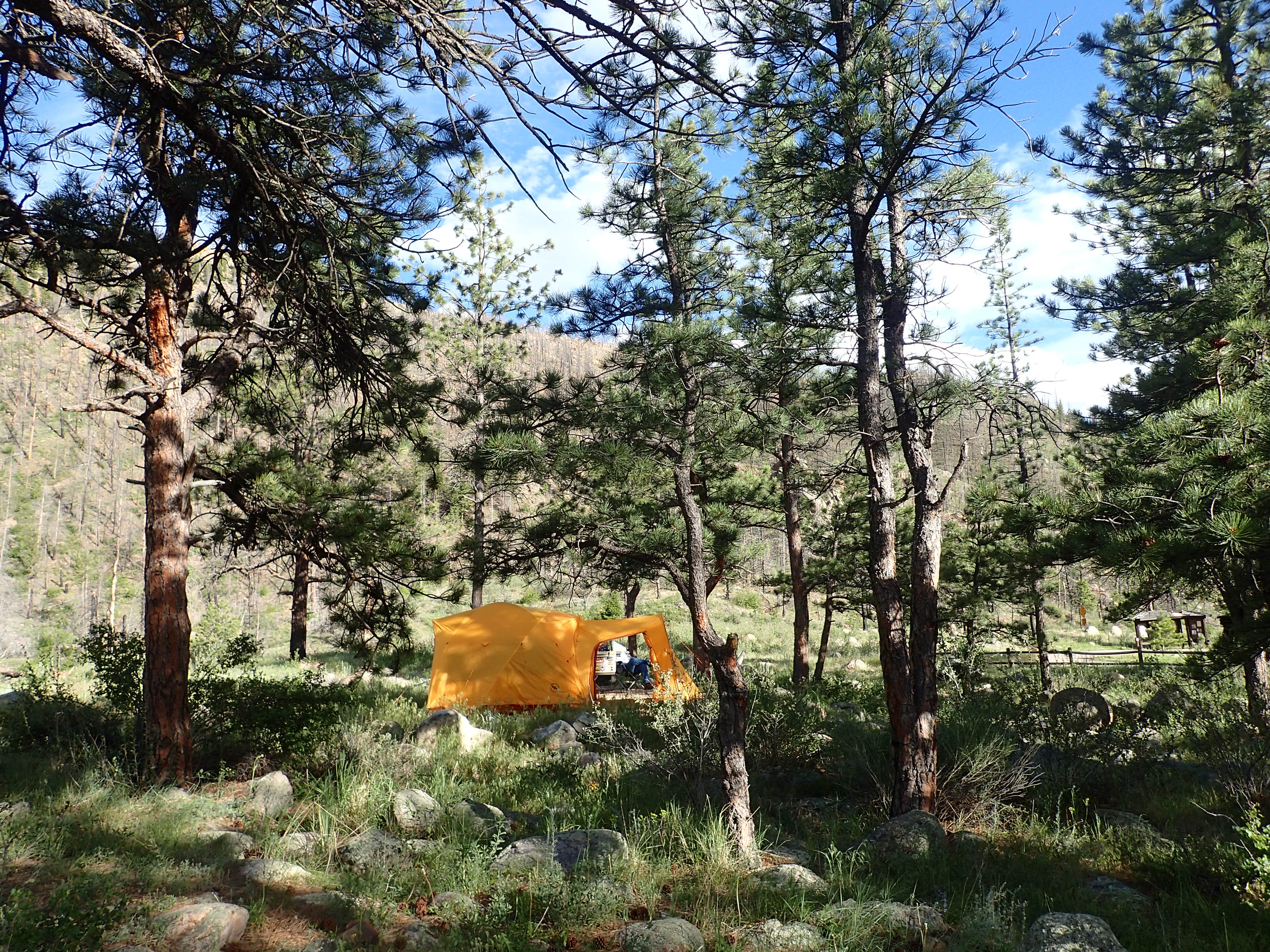 Camper submitted image from Upper and Lower Ansel Watrous Campgrounds - 4