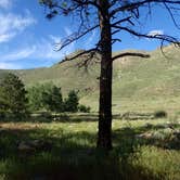 Review photo of Upper and Lower Ansel Watrous Campgrounds by Tonya Y., June 30, 2017