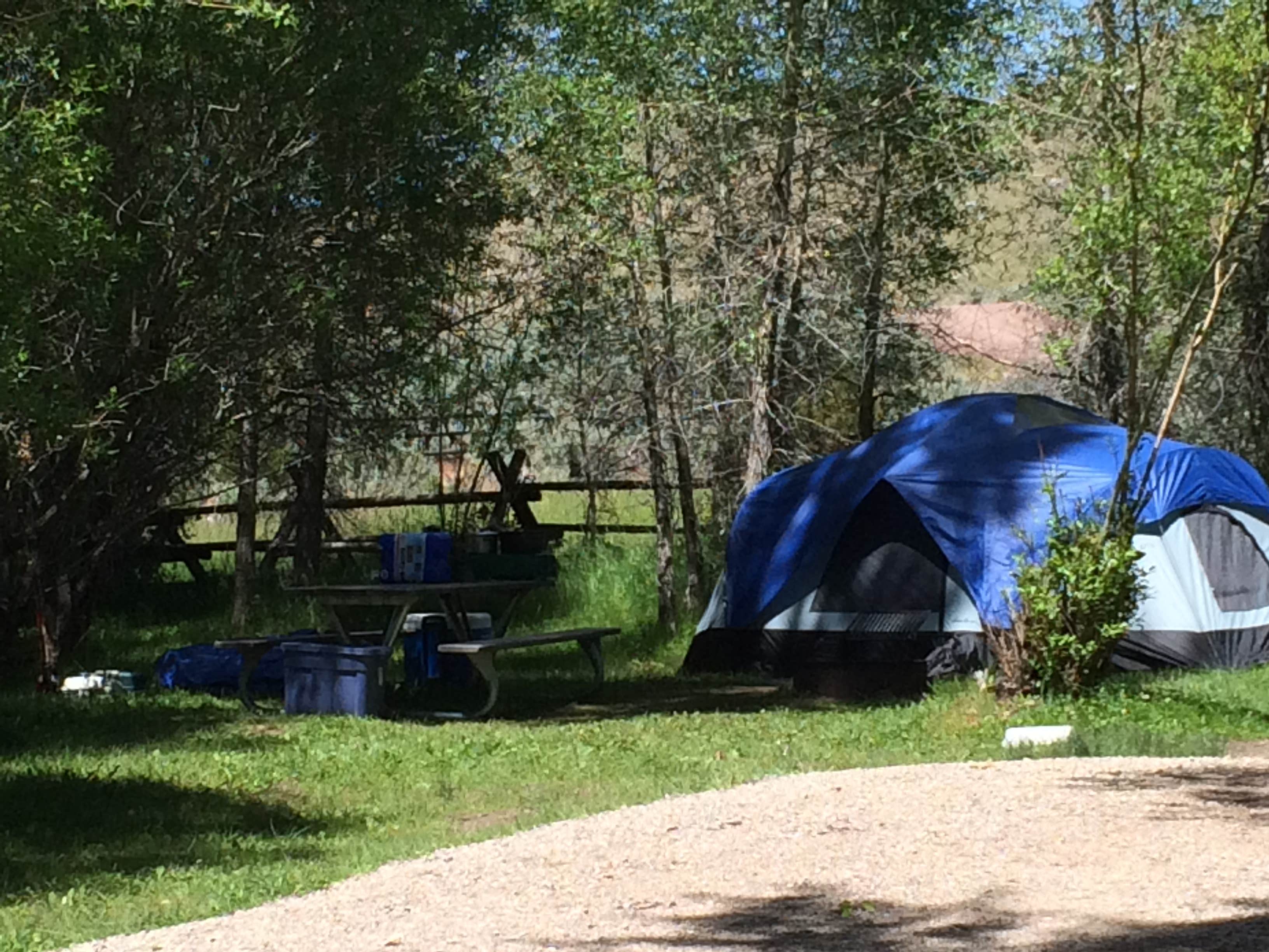 Camper submitted image from Vigilante Campground — Bannack State Park - 3