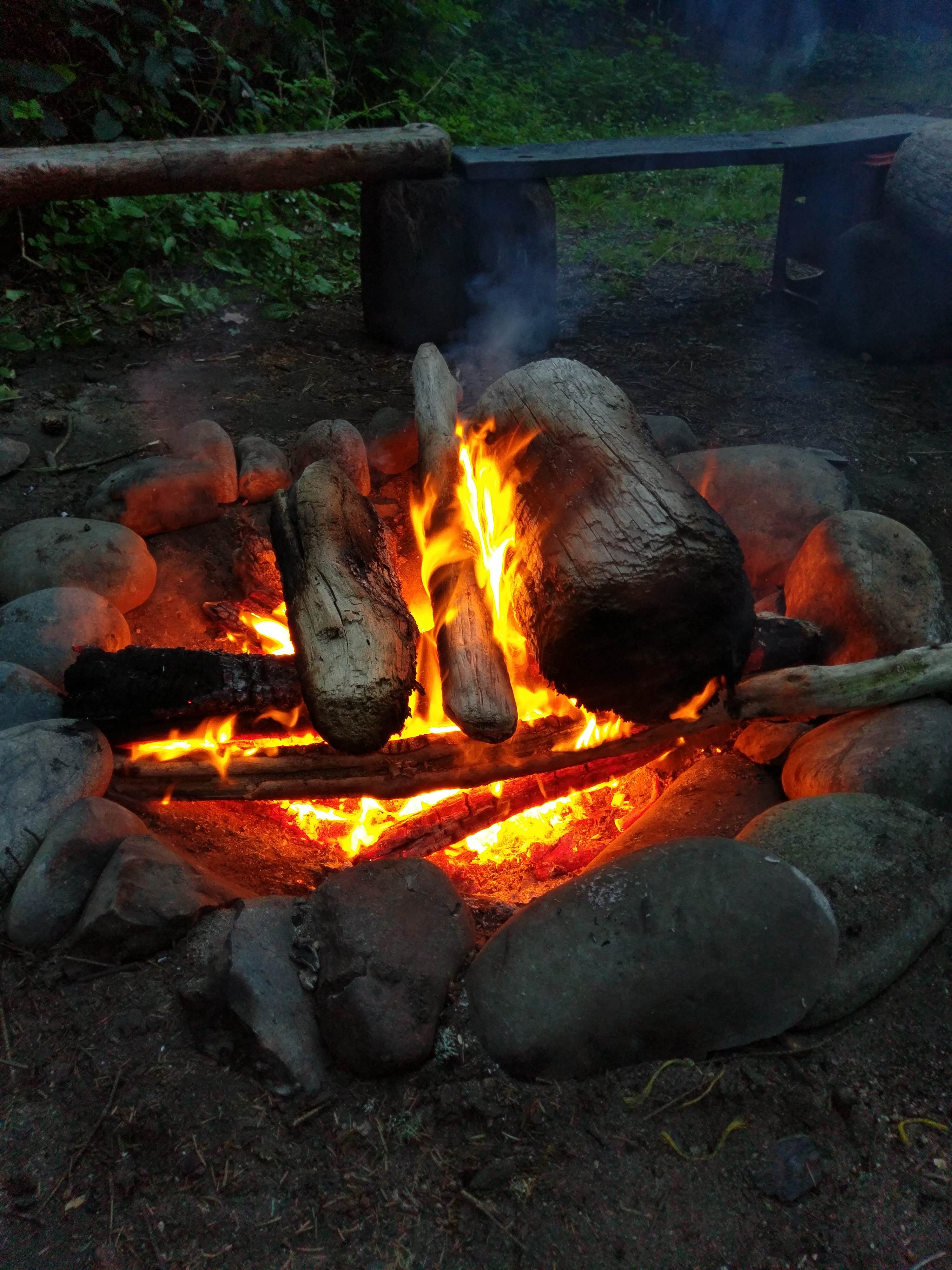 Camper submitted image from Shi Shi Beach — Olympic National Park - 5