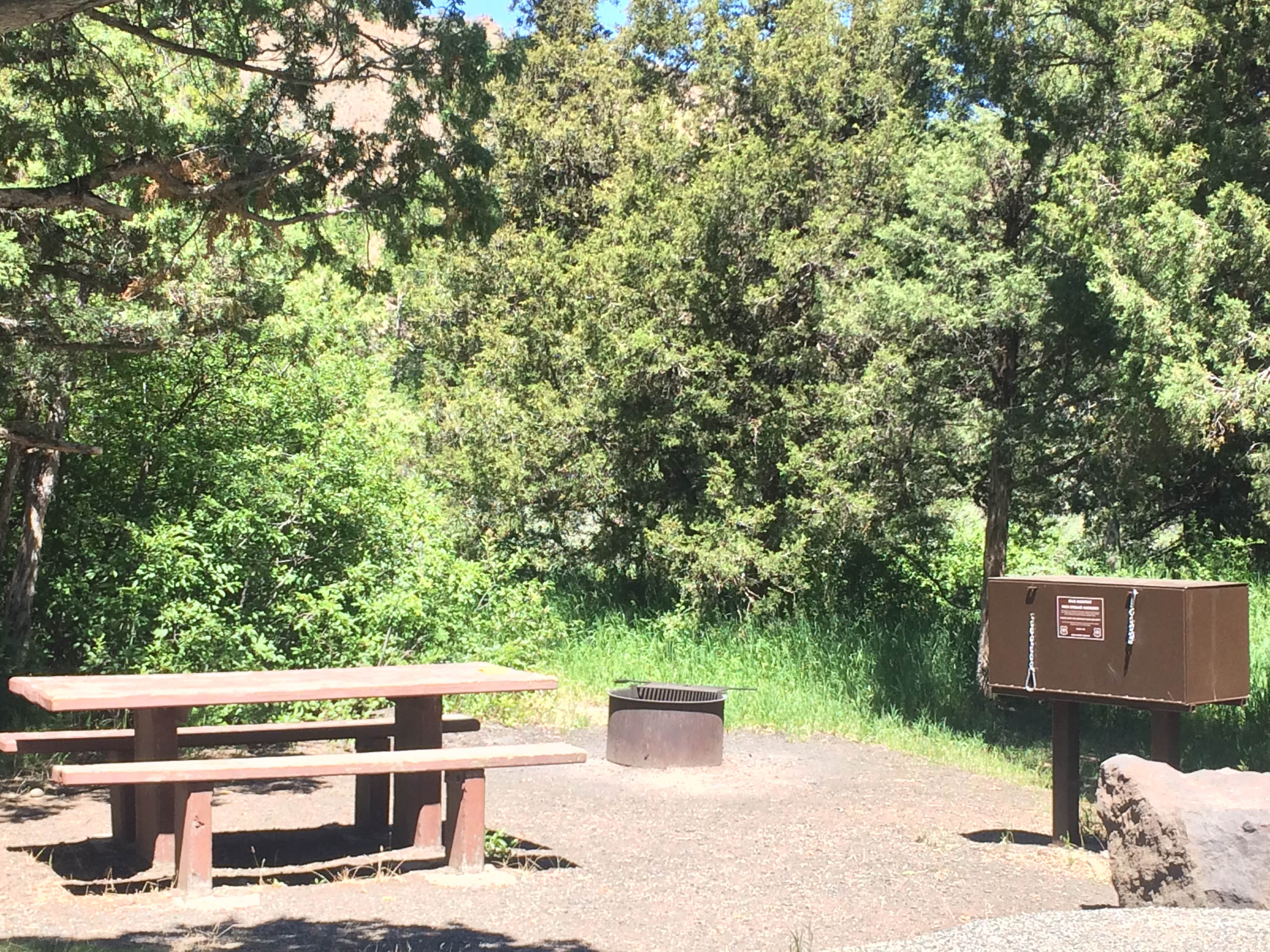 Camper-submitted photo at Elk Fork Campground near Wapiti, WY