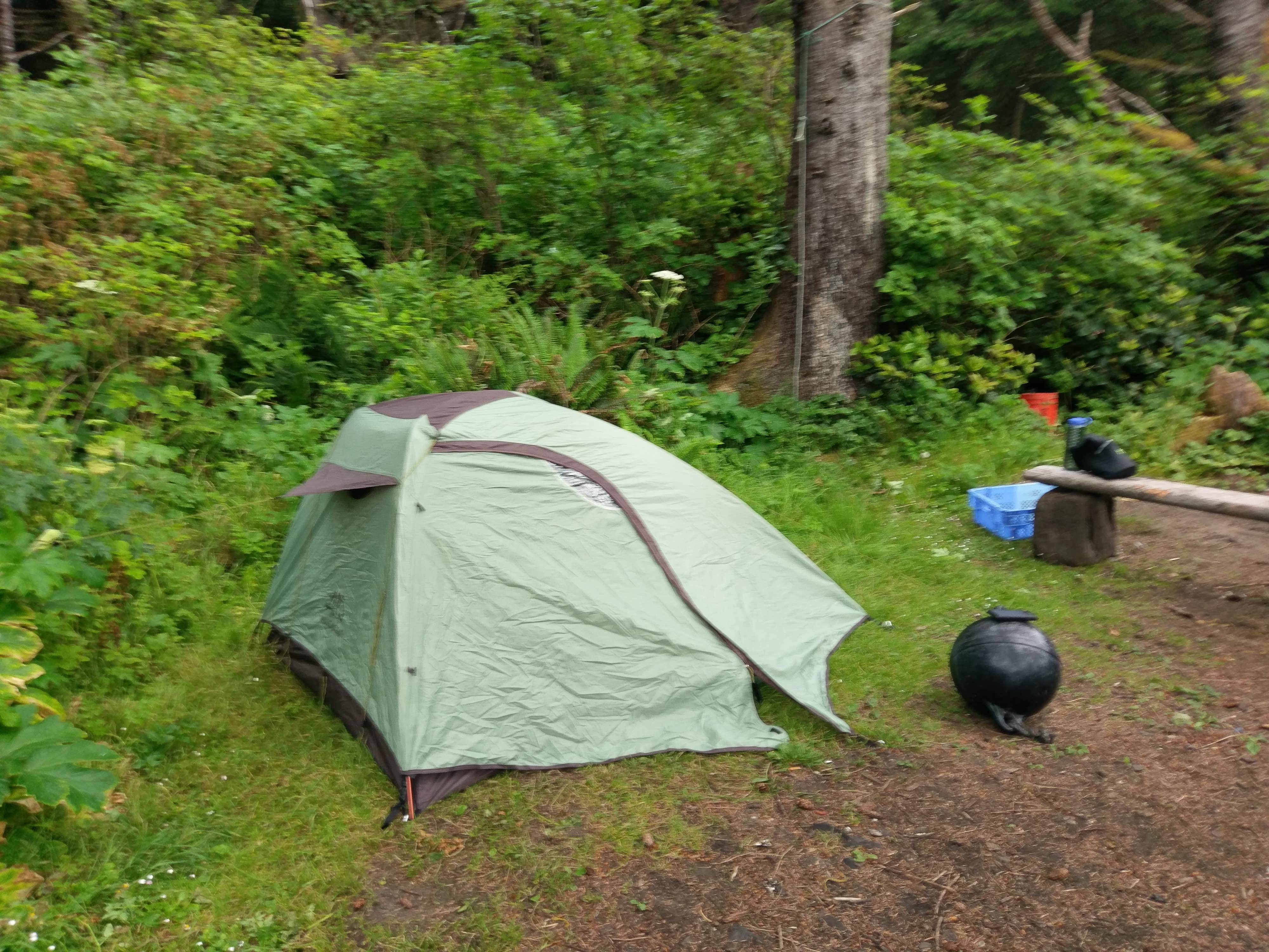 Dawnielle C.'s photo of tent camping at Shi Shi Beach — Olympic National Park near Beaver, WA