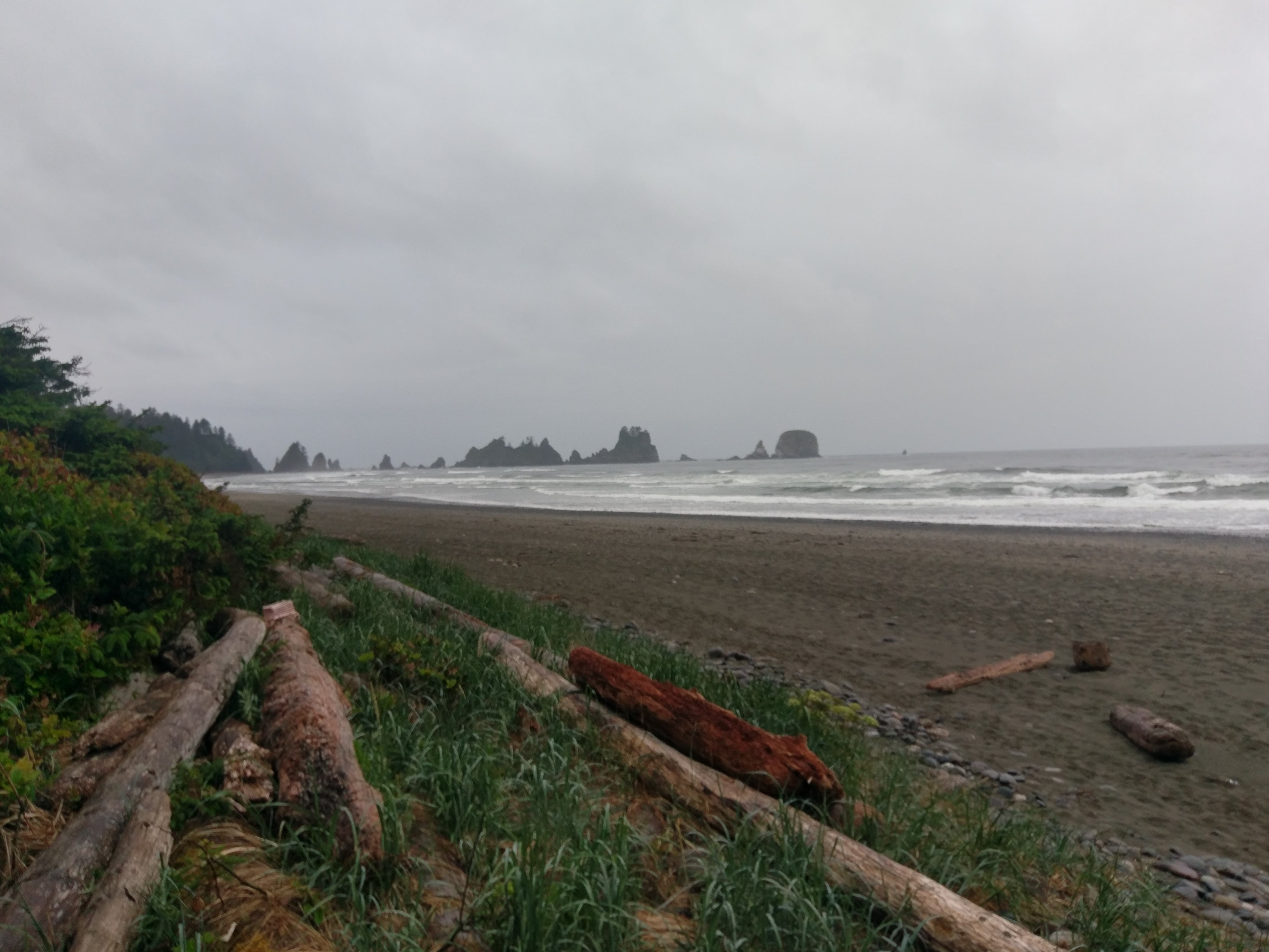 Camper submitted image from Shi Shi Beach — Olympic National Park - 2