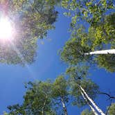 Review photo of Cataract Creek Campground by Mikaela R., July 1, 2017