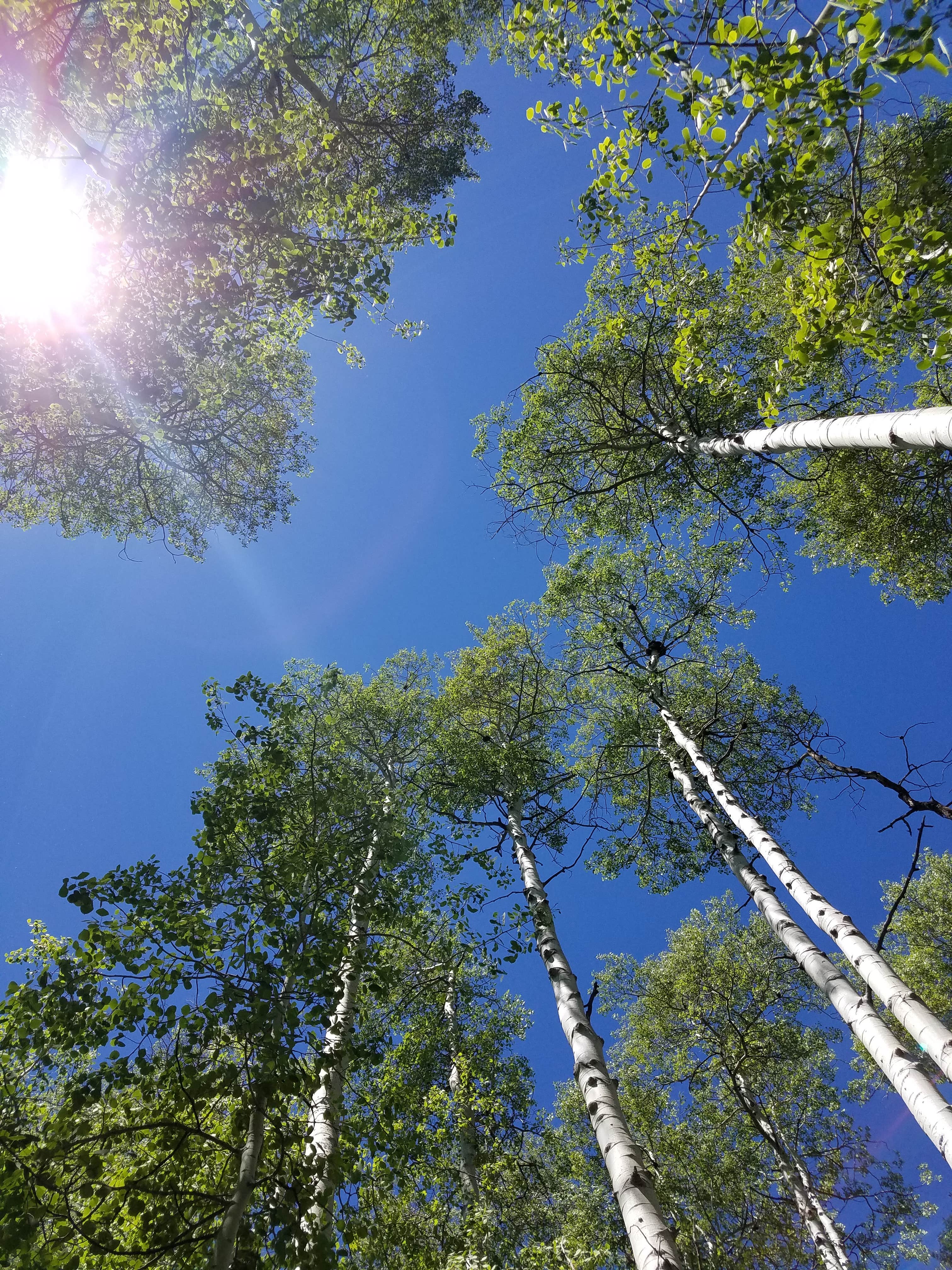 Camper submitted image from Cataract Creek Campground - 1