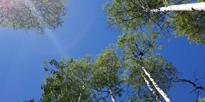 Camper submitted image from Cataract Creek Campground