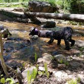 Review photo of Cataract Creek Campground by Mikaela R., July 1, 2017