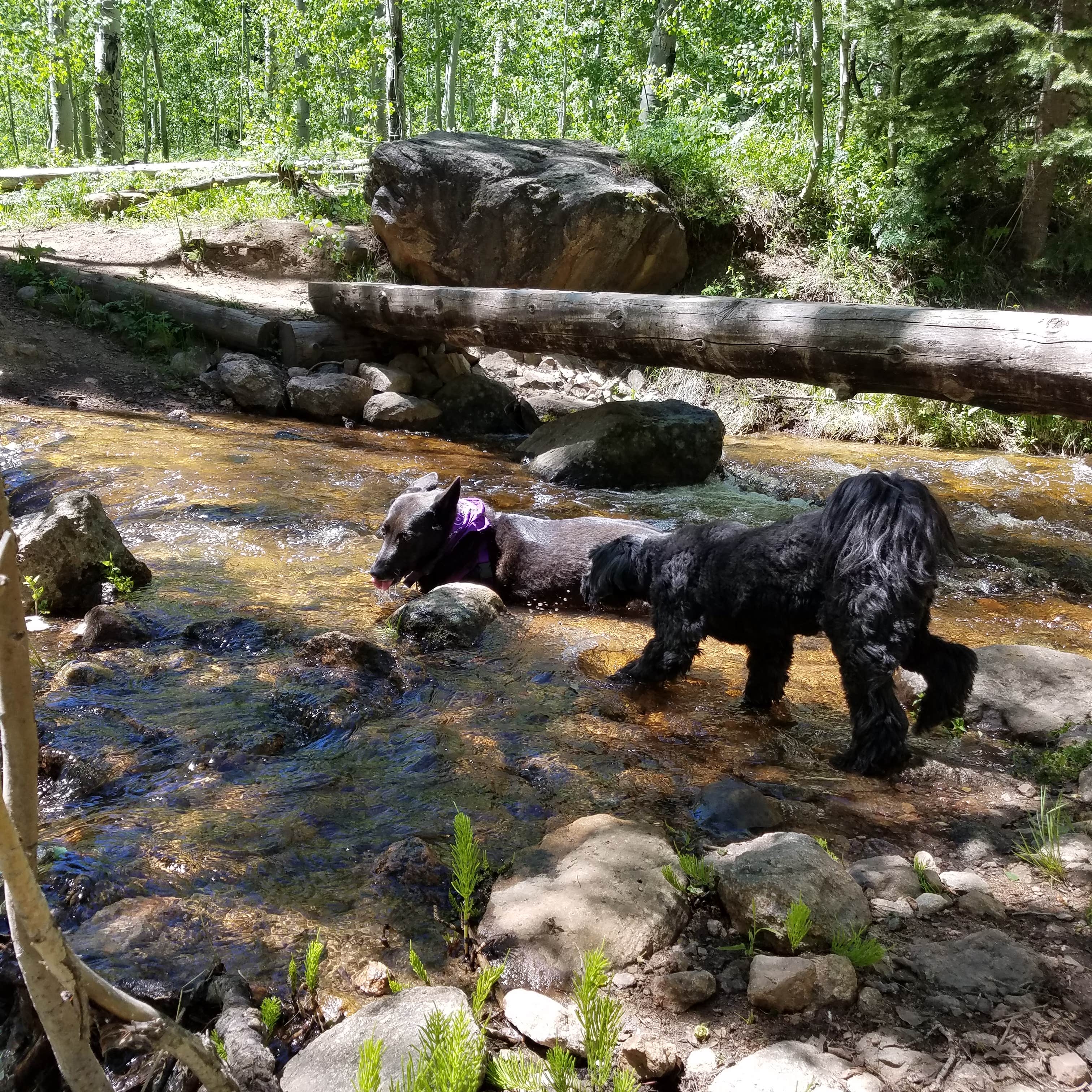 Escape To Paradise: Colorado’s Cataract Creek Campground