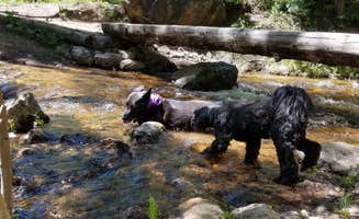 Mikaela R.'s photo of camping with pets at Cataract Creek Campground near Vail, CO