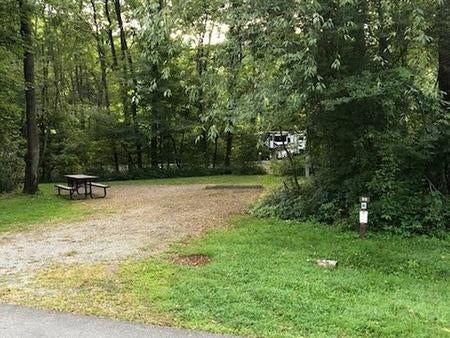 Camper submitted image from Tionesta Rec. Area Campground - 2