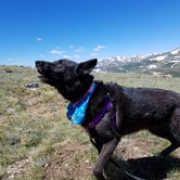 Review photo of Guanella Pass by Mikaela R., July 1, 2017