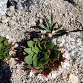 Review photo of Guanella Pass by Mikaela R., July 1, 2017