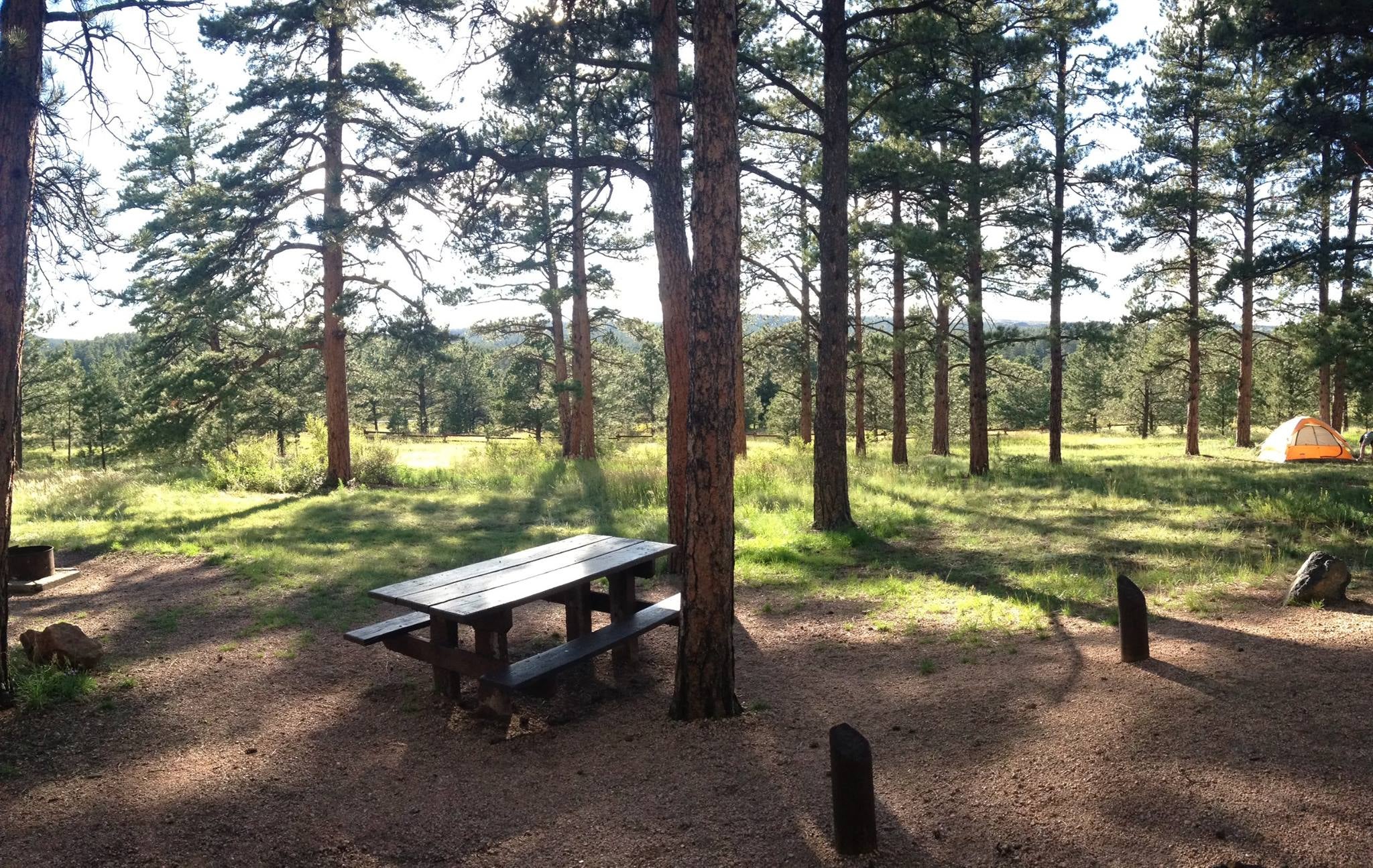 Camper submitted image from Colorado Campground - 5