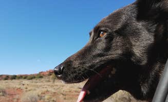 Mikaela R.'s photo of camping with pets at Fisher Towers Campground in Utah