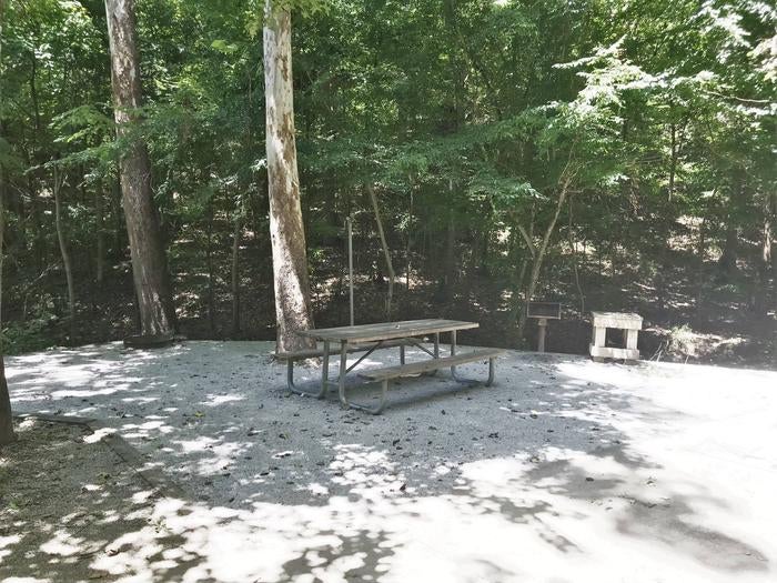Camper submitted image from Burchfield Branch Park - 4