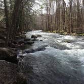 Review photo of Elkmont Campground — Great Smoky Mountains National Park by Augy P., April 21, 2015