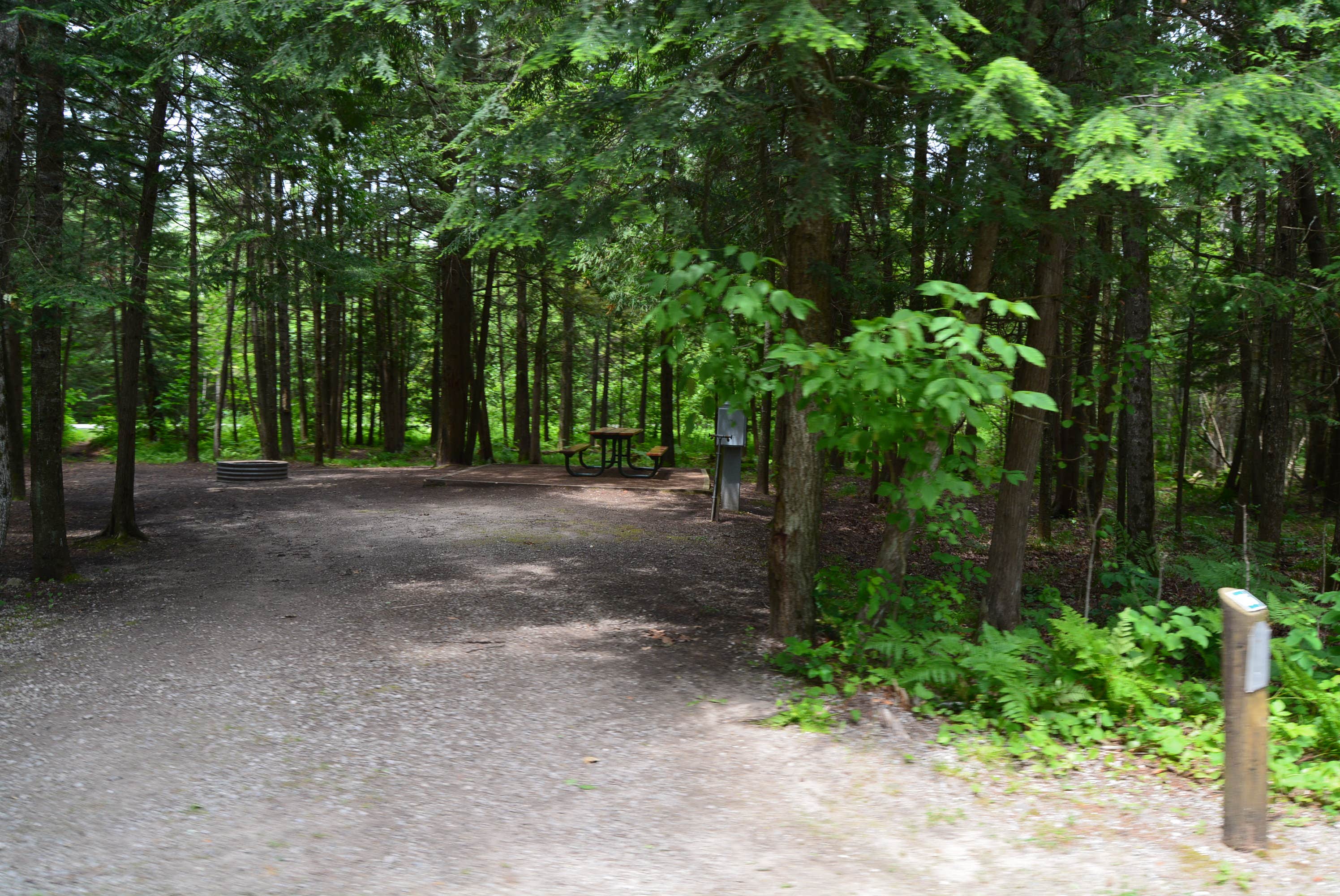 Camper-submitted photo at Camp Petosega near Afton, MI