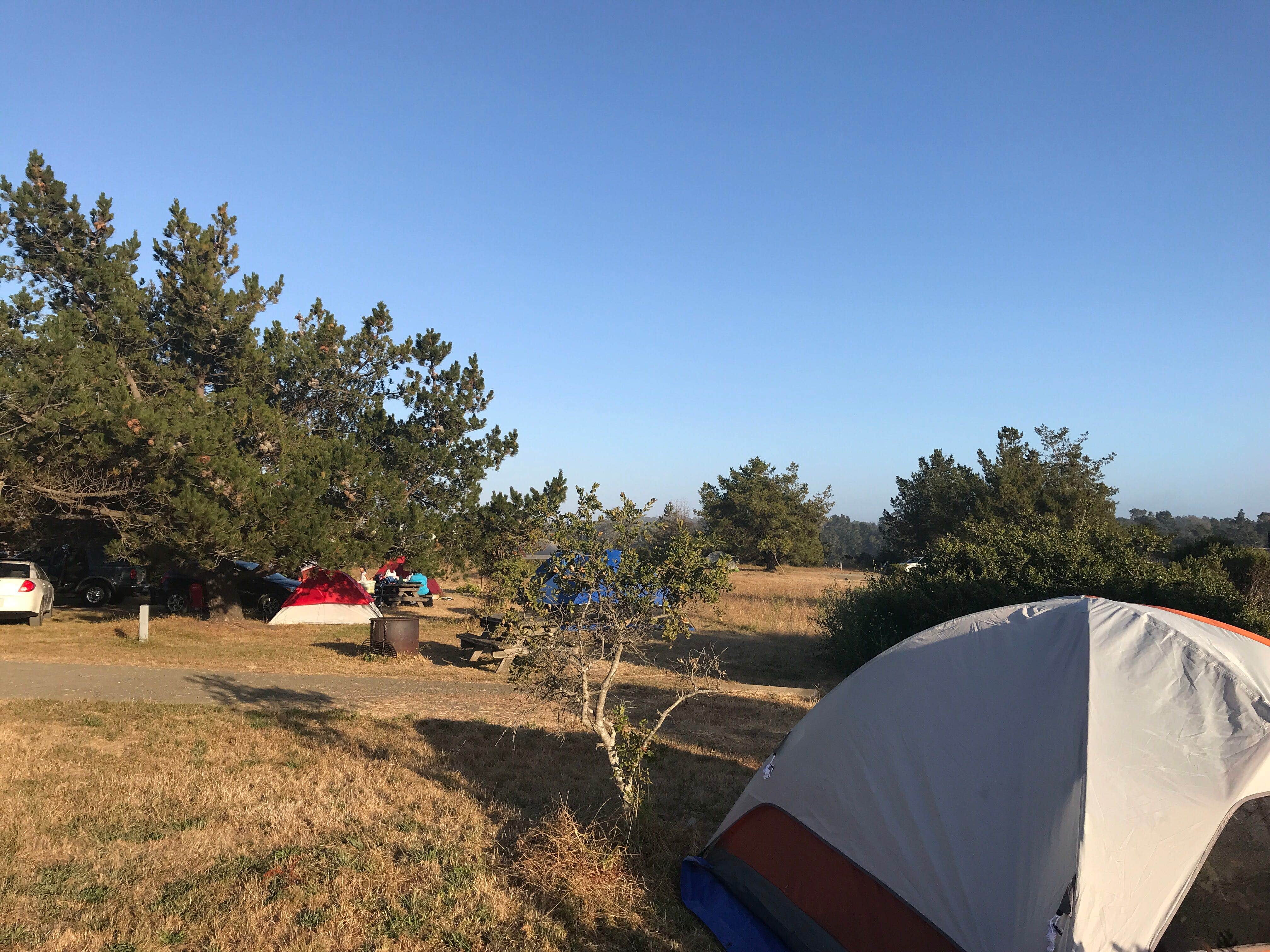 Camper submitted image from San Simeon Creek Campground — Hearst San Simeon State Park - 4