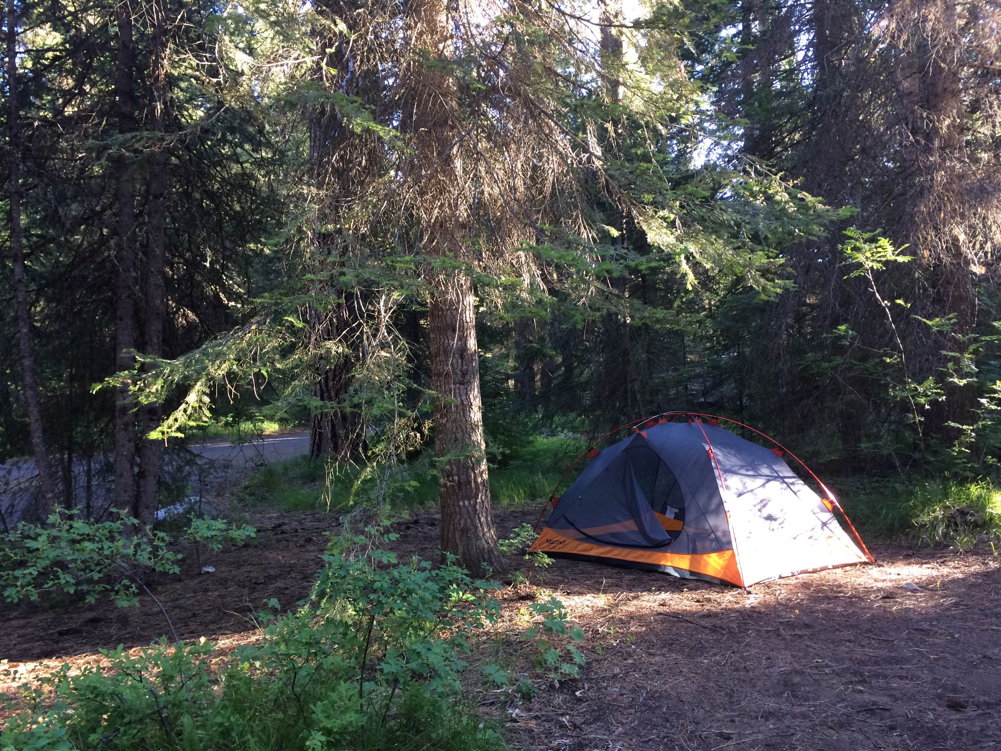 Gretchen B.'s photo at Last Chance Campground - CLOSED near Lake Fork, ID