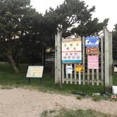 Review photo of Nehalem Bay State Park Campground by Stephanie Z., July 1, 2017