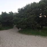 Review photo of Nehalem Bay State Park Campground by Stephanie Z., July 1, 2017