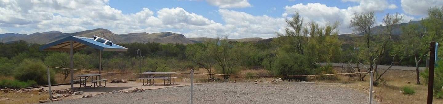 Camper submitted image from Roosevelt Lake - Cholla Campground - 5