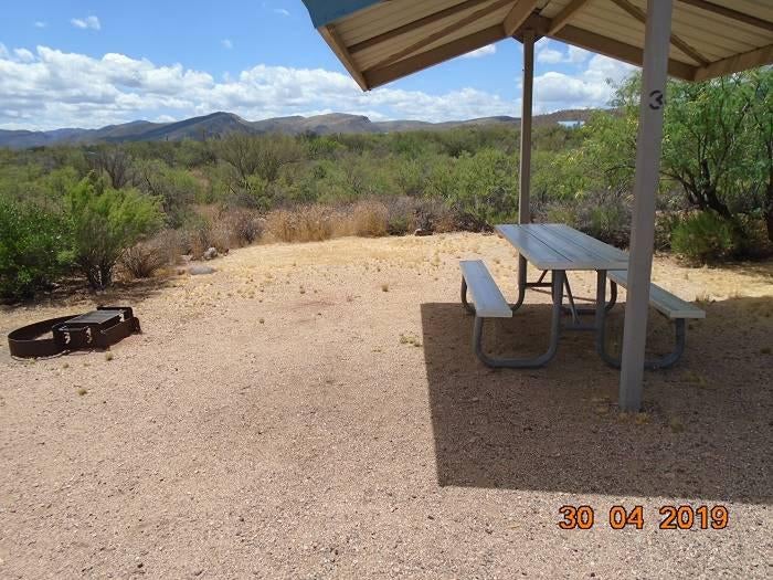 Camper submitted image from Roosevelt Lake - Cholla Campground - 2
