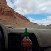 Review photo of Zion Canyon Campground by Mikaela R., July 1, 2017