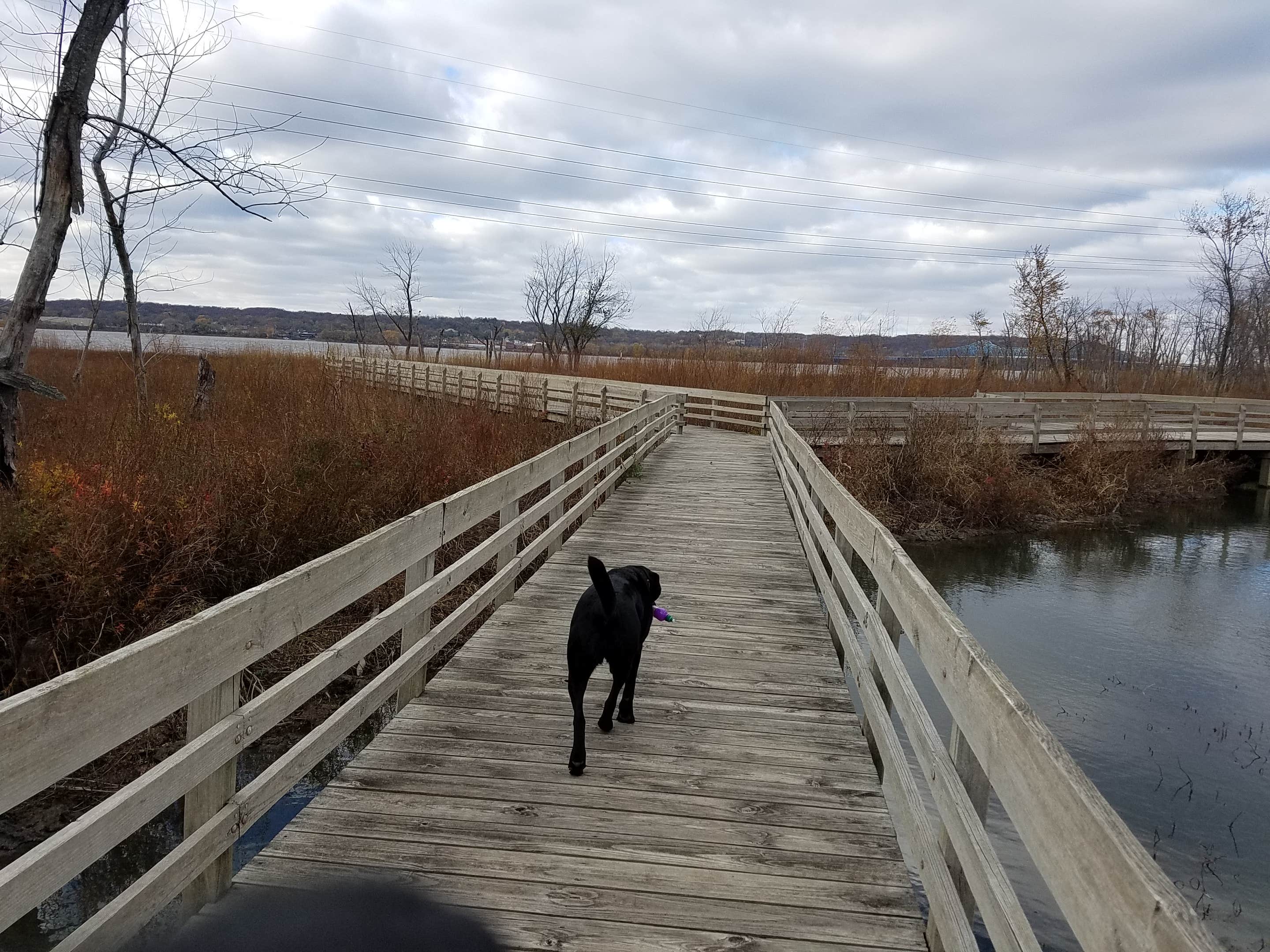 Camper submitted image from Carl Spindler Campground - 3