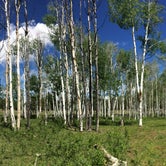 Review photo of Quaking Aspen Campground by Tyler G., June 23, 2016