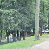 Review photo of Wooden Shoe Campground by Nancy W., July 1, 2017