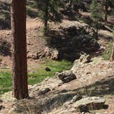 Review photo of Quaking Aspen Campground by Tyler G., June 23, 2016