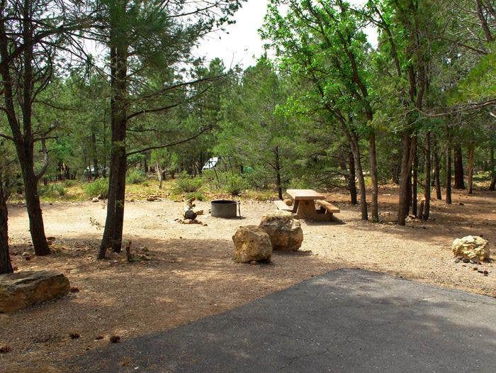 Camper submitted image from Mather Campground — Grand Canyon National Park - 4
