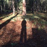 Review photo of Quaking Aspen Campground by Tyler G., June 23, 2016