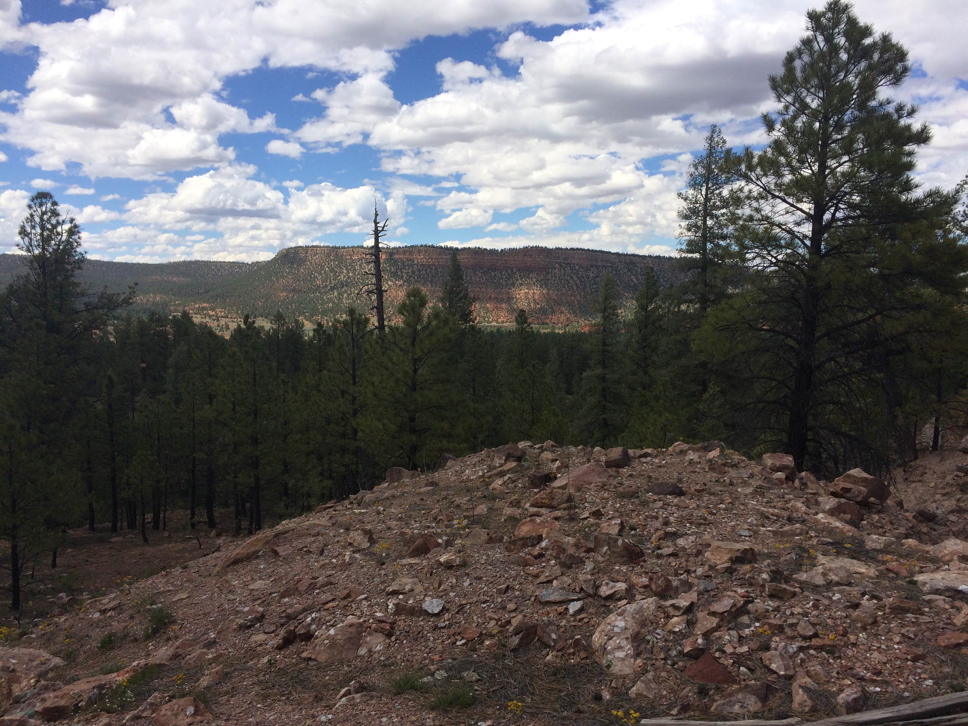 Camper-submitted photo at Quaking Aspen Campground near Rehoboth, NM
