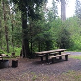 Review photo of Giant White Pine Campground by Gretchen B., July 1, 2017