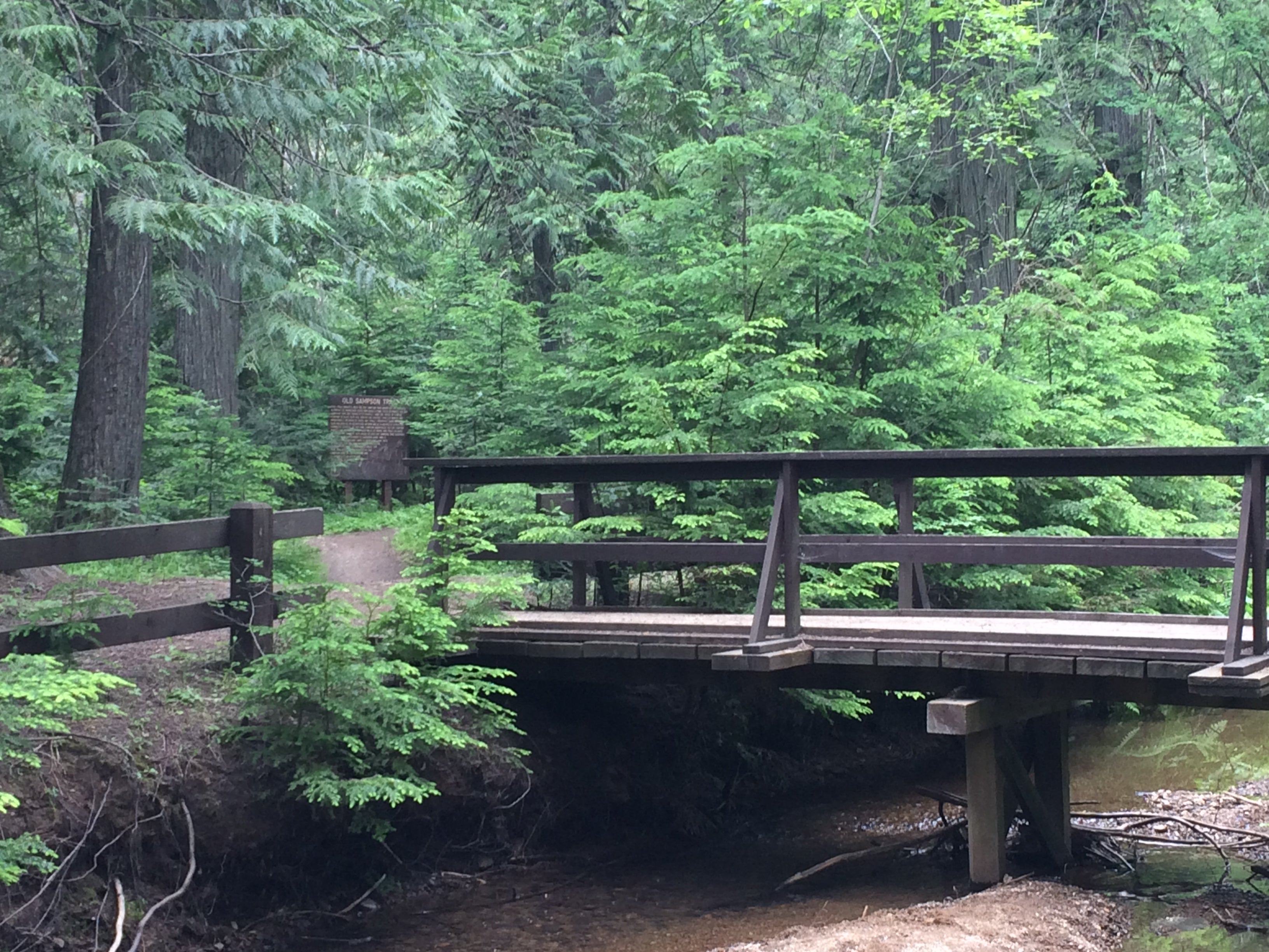 Bridge over a pretty little creek at campground 