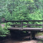 Review photo of Giant White Pine Campground by Gretchen B., July 1, 2017