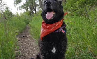 Mikaela R.'s photo of camping with pets at Chatfield State Park Campground near Littleton, CO