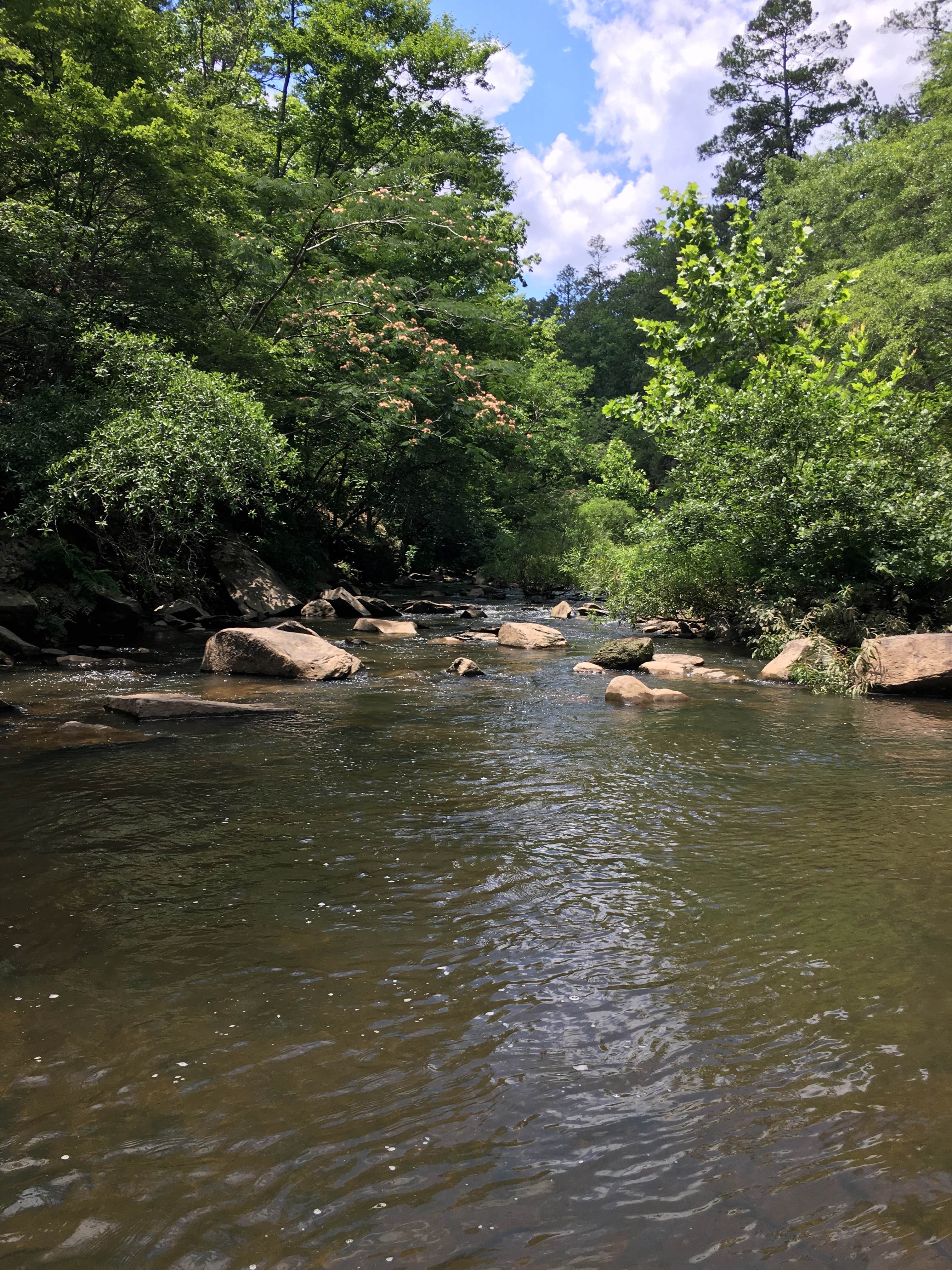 Camper submitted image from Tannehill Ironworks Historical State Park Campground - 5